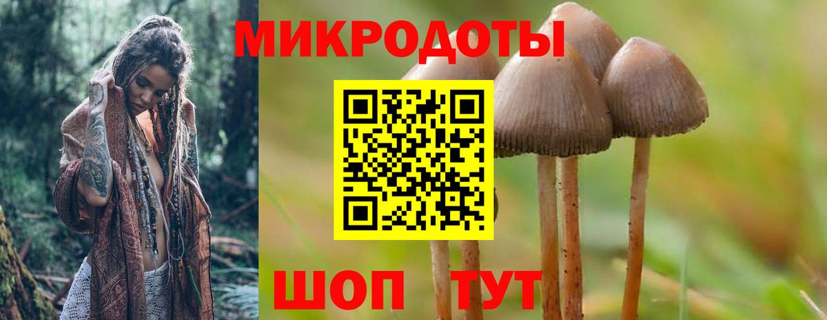 Псилоцибиновые грибы мухоморы  Вход с VPN  Бирск  Галлюциногенные грибы Psilocybe 